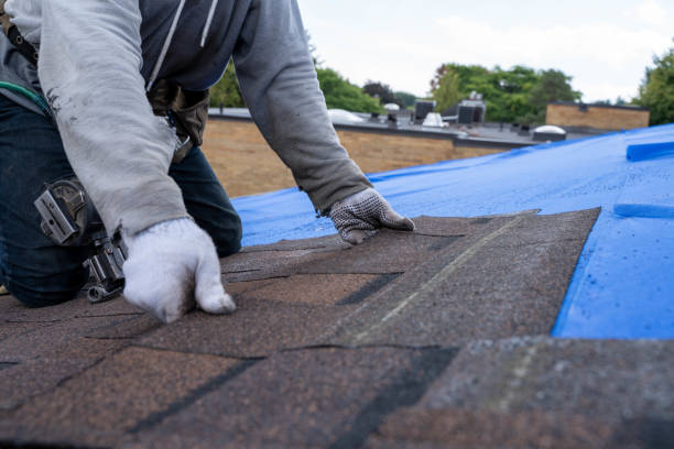 Best Commercial Roofing Services  in Ashland, IL